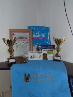 DSC00909.JPG