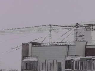 S1410015_.jpg