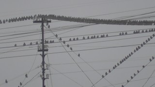 S1410010_.jpg