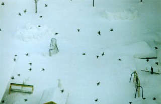 img009_.jpg