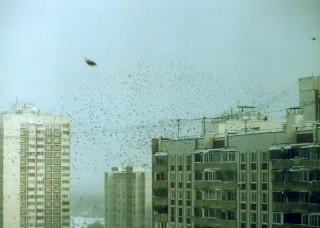 img010_.jpg