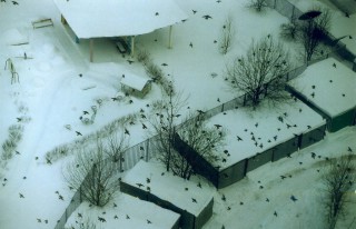 img011_.jpg