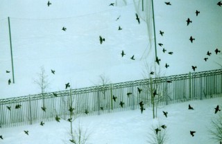 img012_.jpg