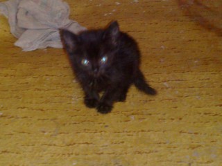 071220101242.jpg