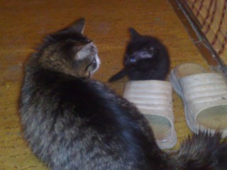 071220101246.jpg