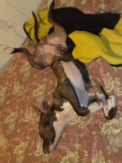 23122010233.jpg
