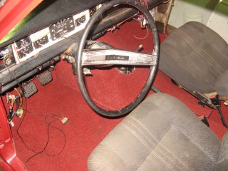 IMG_2876.jpg