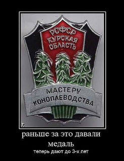 getImage (6).jpg
